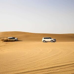 Evening Desert Safari